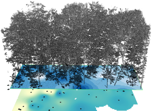 LiDAR point cloud of tree canopy, measured spatial patterns of net precipitation and soil water